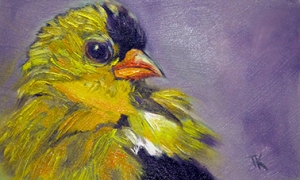 American Goldfinch, 2014. (Oil, 4 x 6)