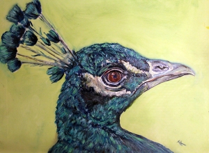 Peacock, 2014. (Oil, 9 x 12)