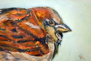 Sparrow, 2014. (Oil, 4 x 6)